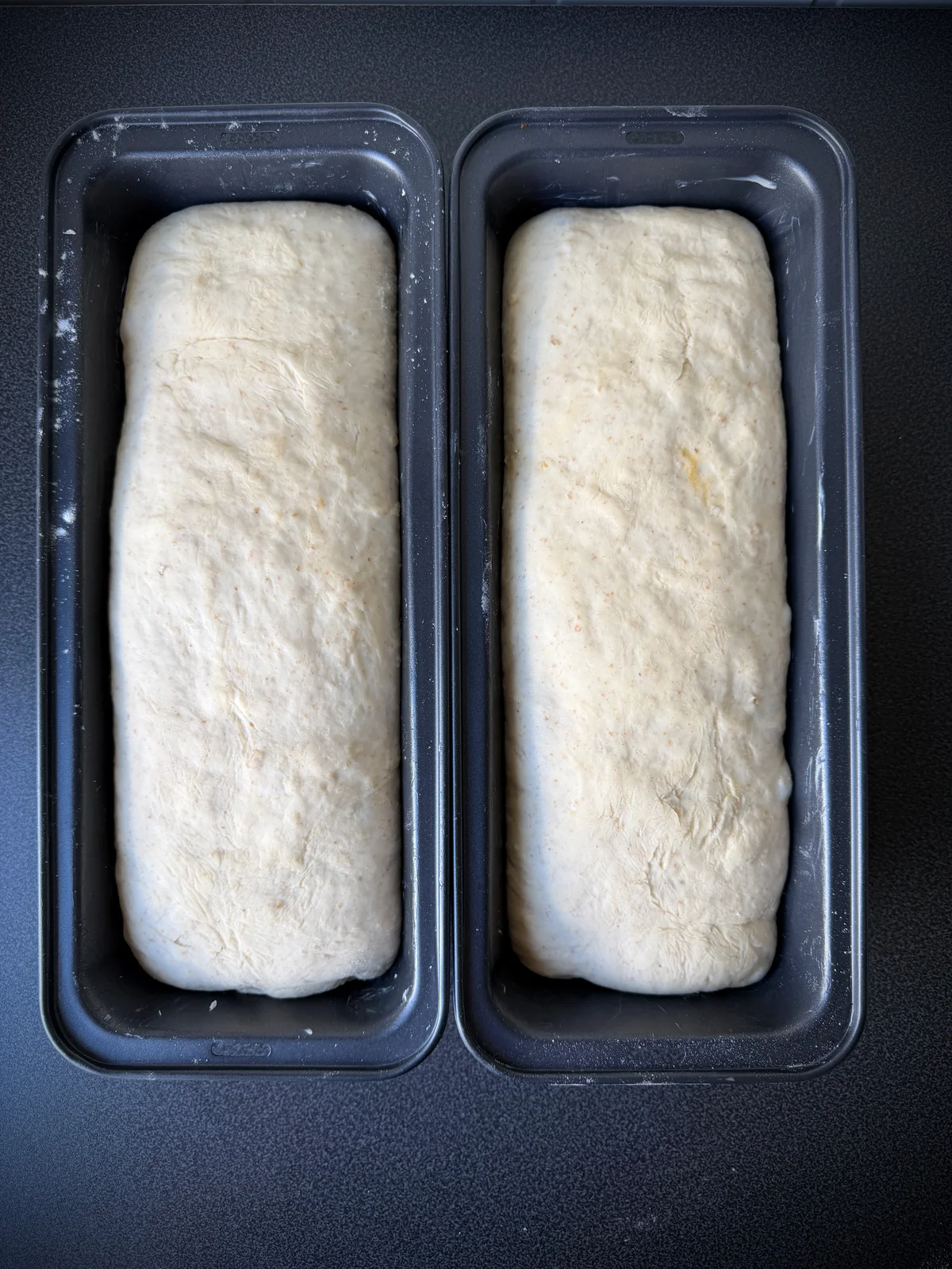 Everyday Bread - Images 2