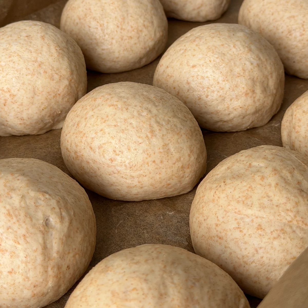 Myke spelt-rundstykker i langpanne - Bilde 2