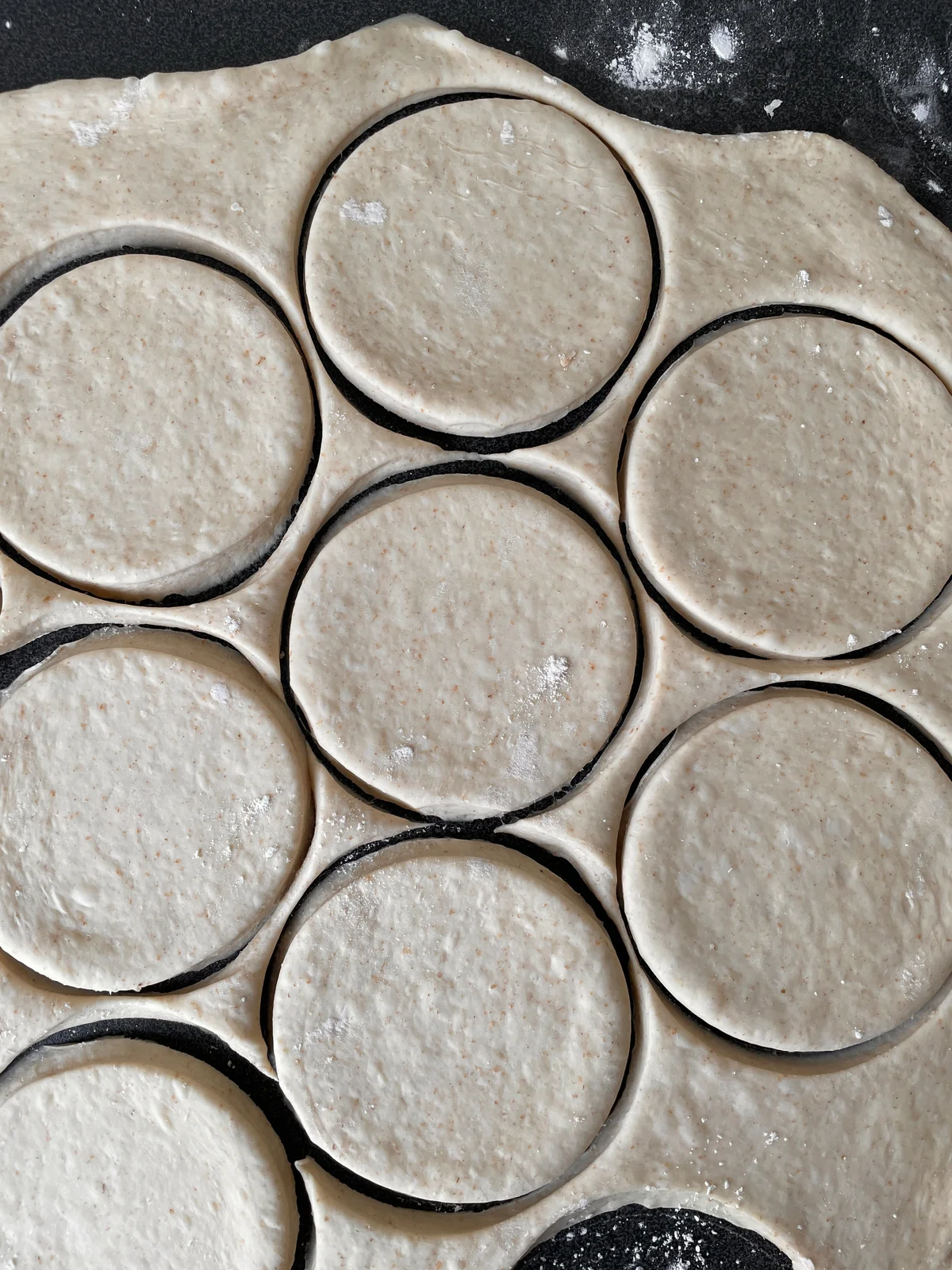 Polarbrød  - Bilde 2