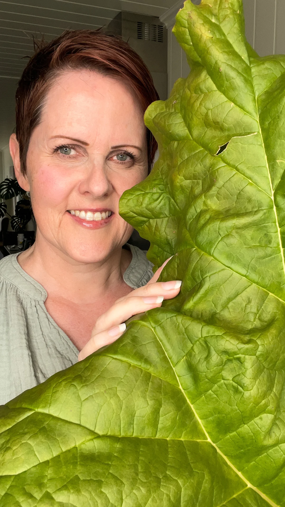 Rabarbrakake - Bilde 1