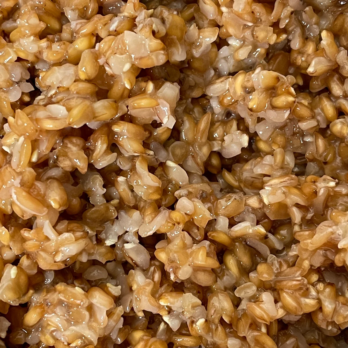 Rundstykker med grøpp i langpanne - Bilde 1