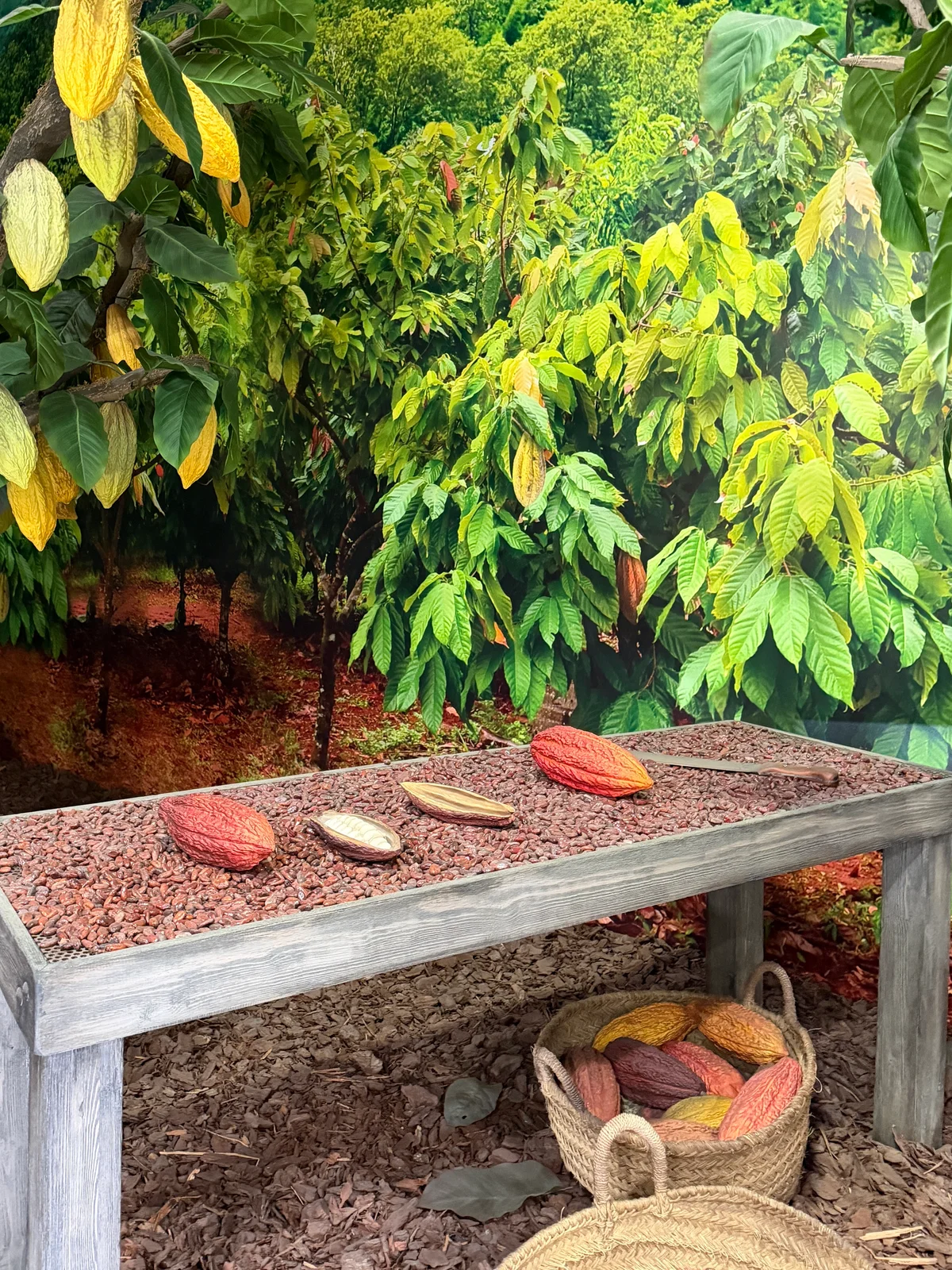 Tur til Alicante - Bilde 23