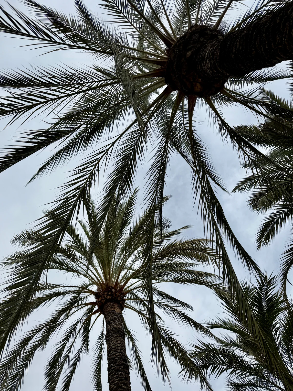 Tur til Alicante - Bilde 10