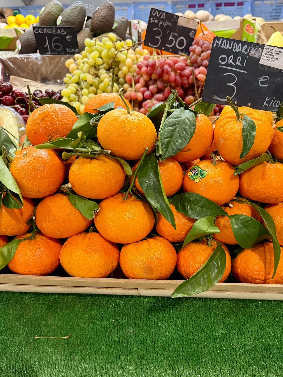 Tur til Alicante - Bilde 25